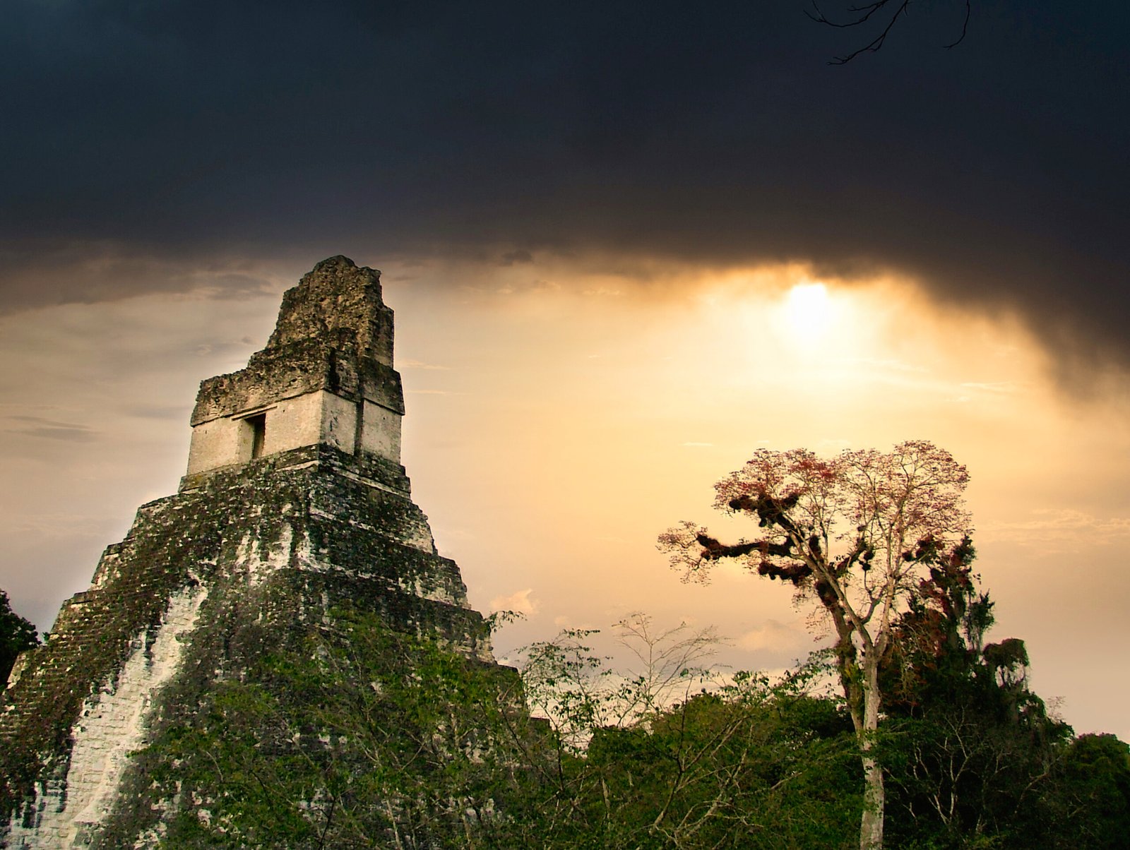 Tikal Private Tour