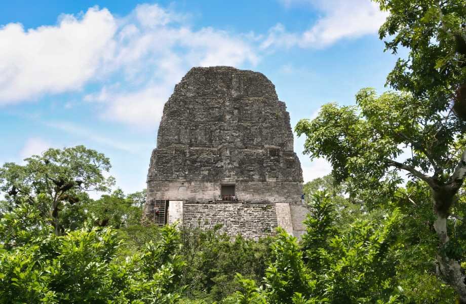 Visitor enjoying the view of the Temple five at Tikal, made possible by the convenience of Tikal online entrance fee payment.