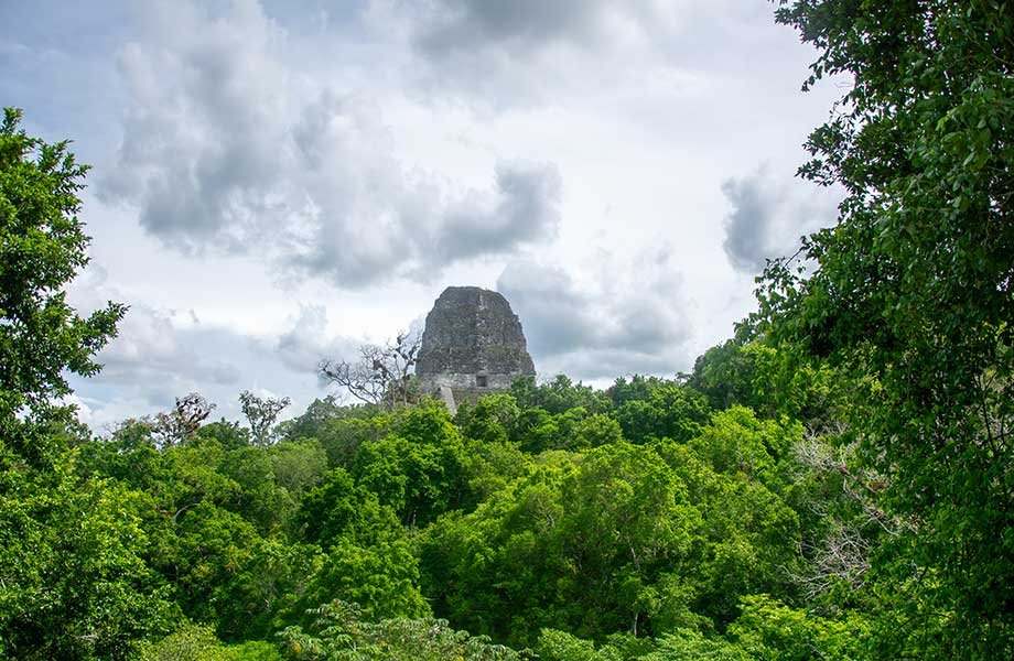 TEmple V located in the heart of Tikal National Park one of the Guatemala's UNESCO Sites.