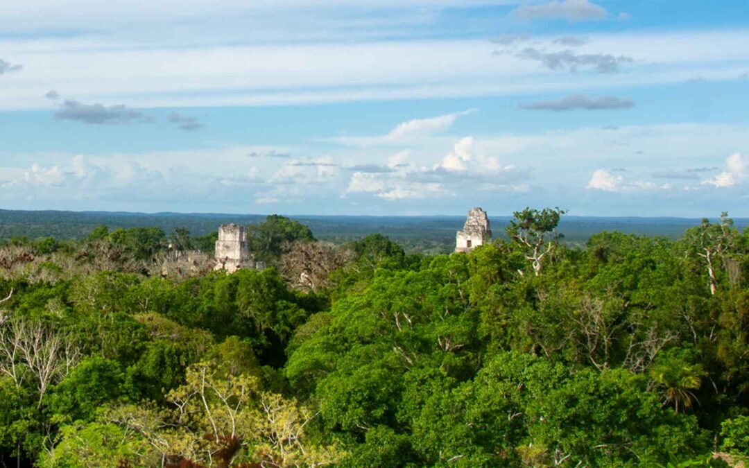 Tikal temples I and II in the middle of a lush tropicak forest during a tour of Tikal.