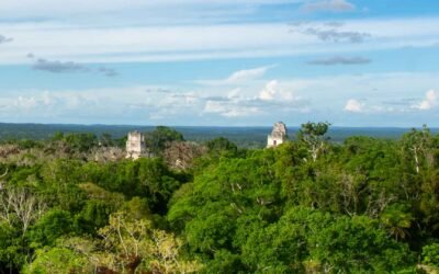 What to Expect from a Day Tour of Tikal