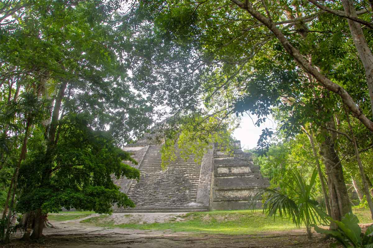 Mayan Astronomy at Tikal Tikal Lost world complex the tauld tabler is near by the type E astronomicla center