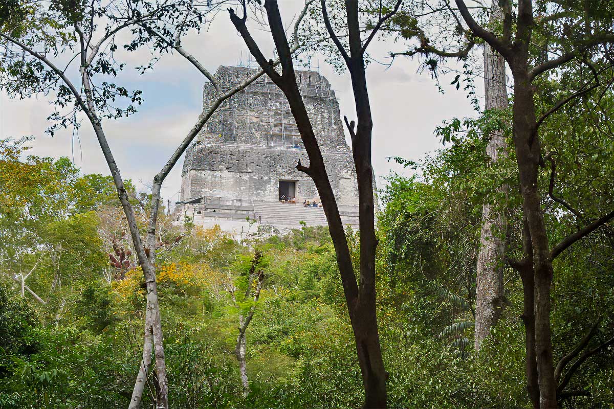 A powerful mayan temple hidden in thr tropical rainforest a guardins of the Tikal Maya History